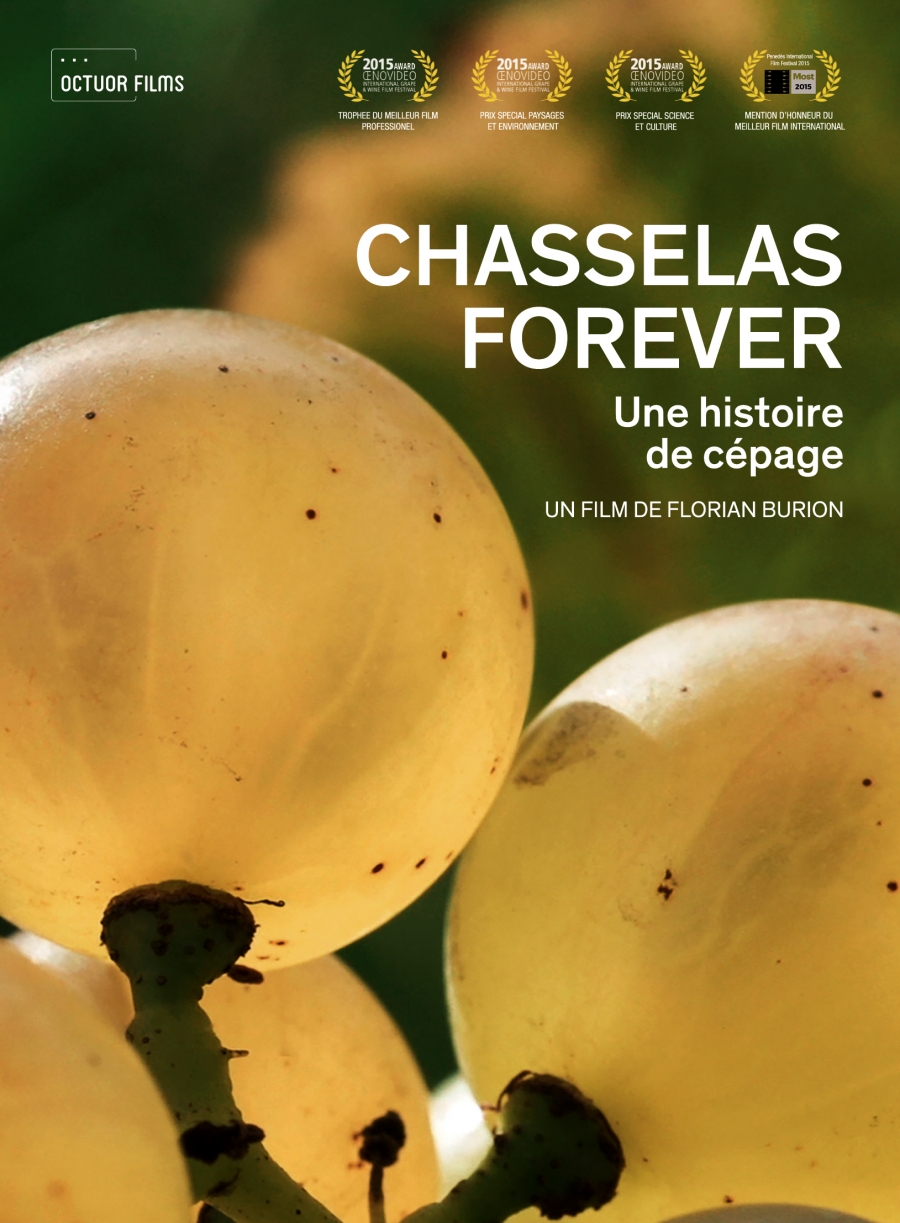 Chasselas Forever (Une histoire de cépage)
