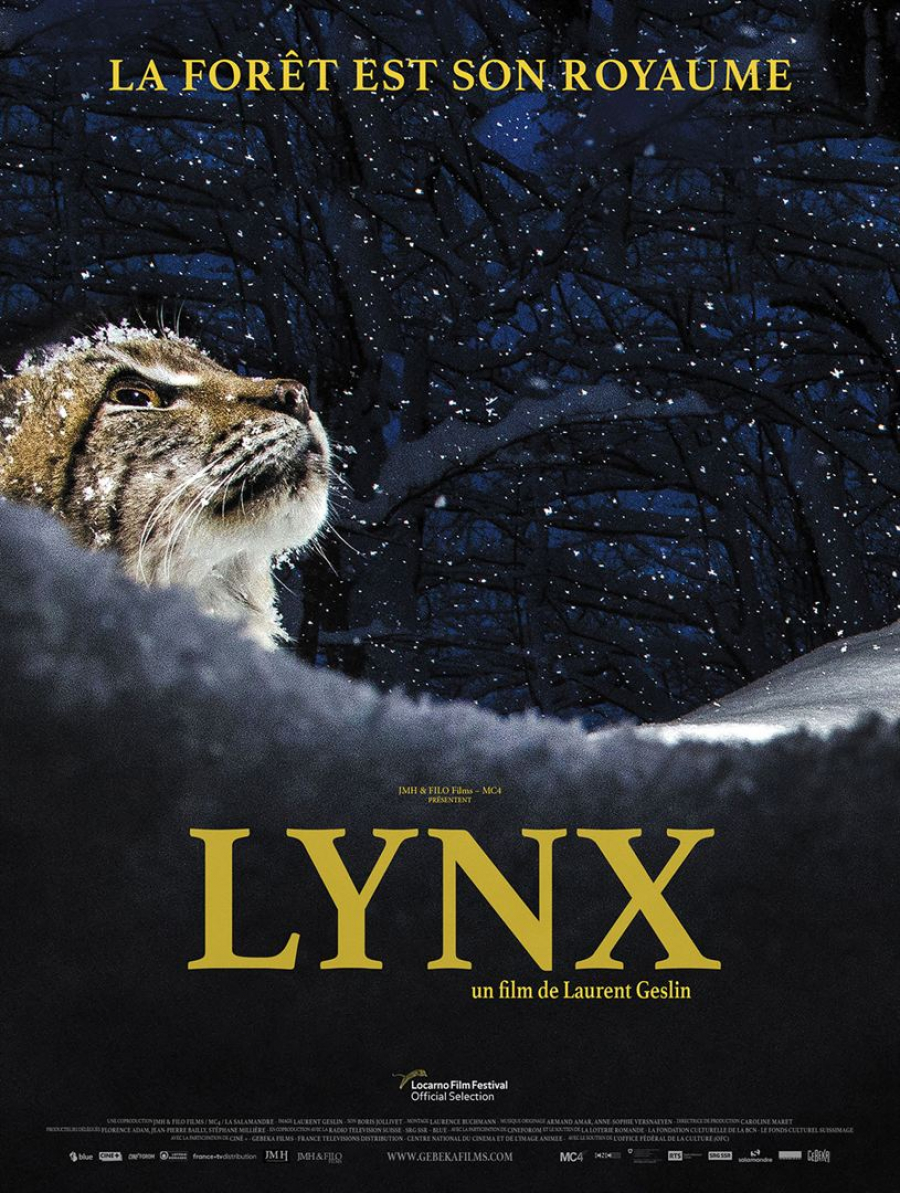 LYNX (reprise)