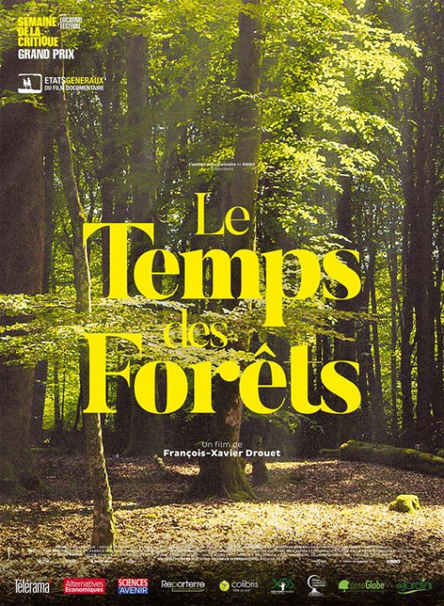 Le temps des forêts (Ciné-brunch Transition)