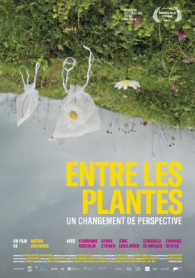 entre les plantes - un changement de perspectives