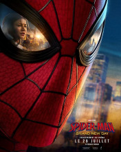 Affiche du film: SPIDER-MAN: BRAND NEW DAY