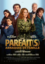 Affiche du film: LES PARFAIT(S)