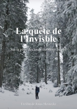 Affiche du film: LA QUÊTE DE L'INVISIBLE
