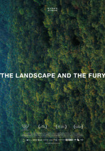 Affiche du film: THE LANDSCAPE AND THE FURY