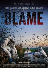 Affiche du film: Blame