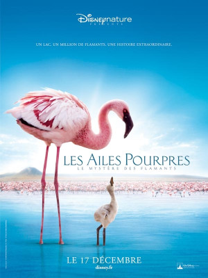 Les ailes pourpres: Le mystère des flamants