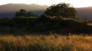 Terrain Vague