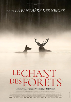 Le Chant des forêts