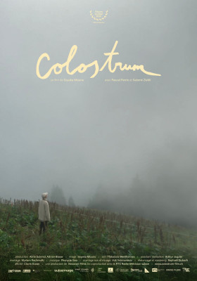 Colostrum