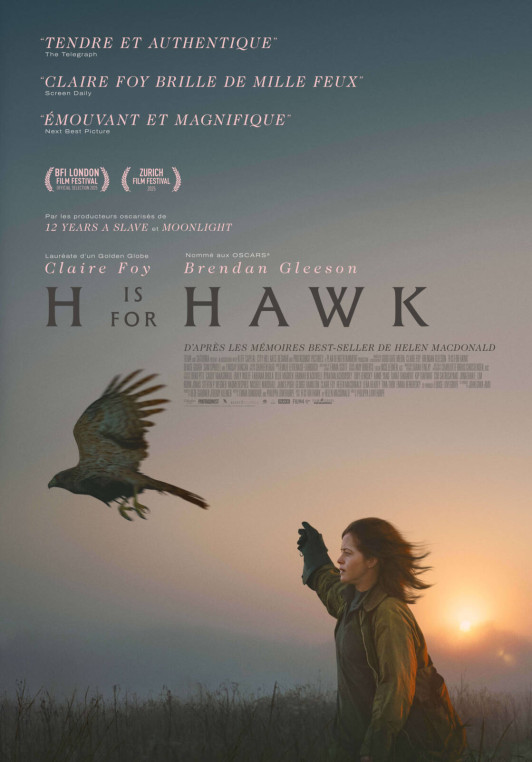 H IS FOR HAWK